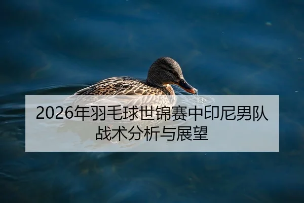 2026年羽毛球世锦赛中印尼男队战术分析与展望