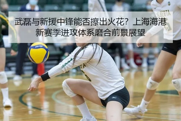 武磊与新援中锋能否擦出火花？上海海港新赛季进攻体系磨合前景展望